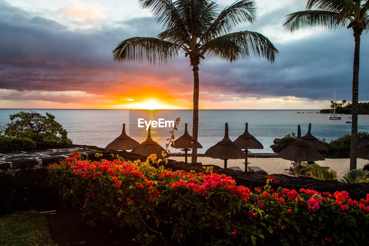 SCENIC VIEW OF SEA DURING SUNSET