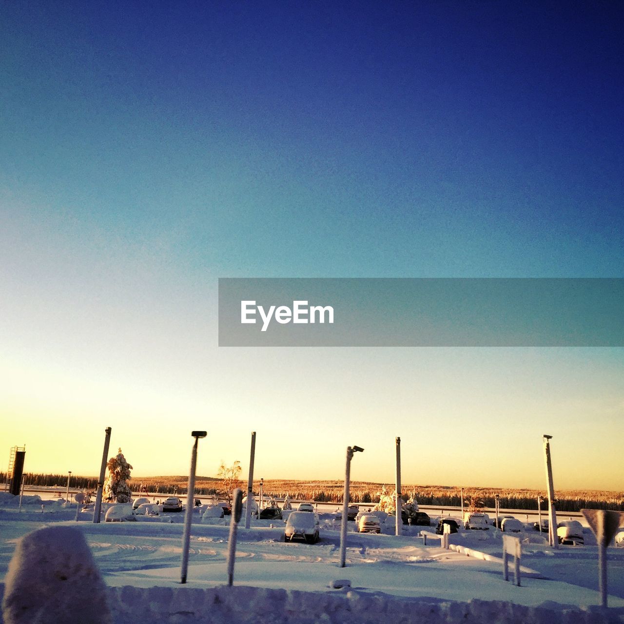 VIEW OF TREES AGAINST CLEAR SKY