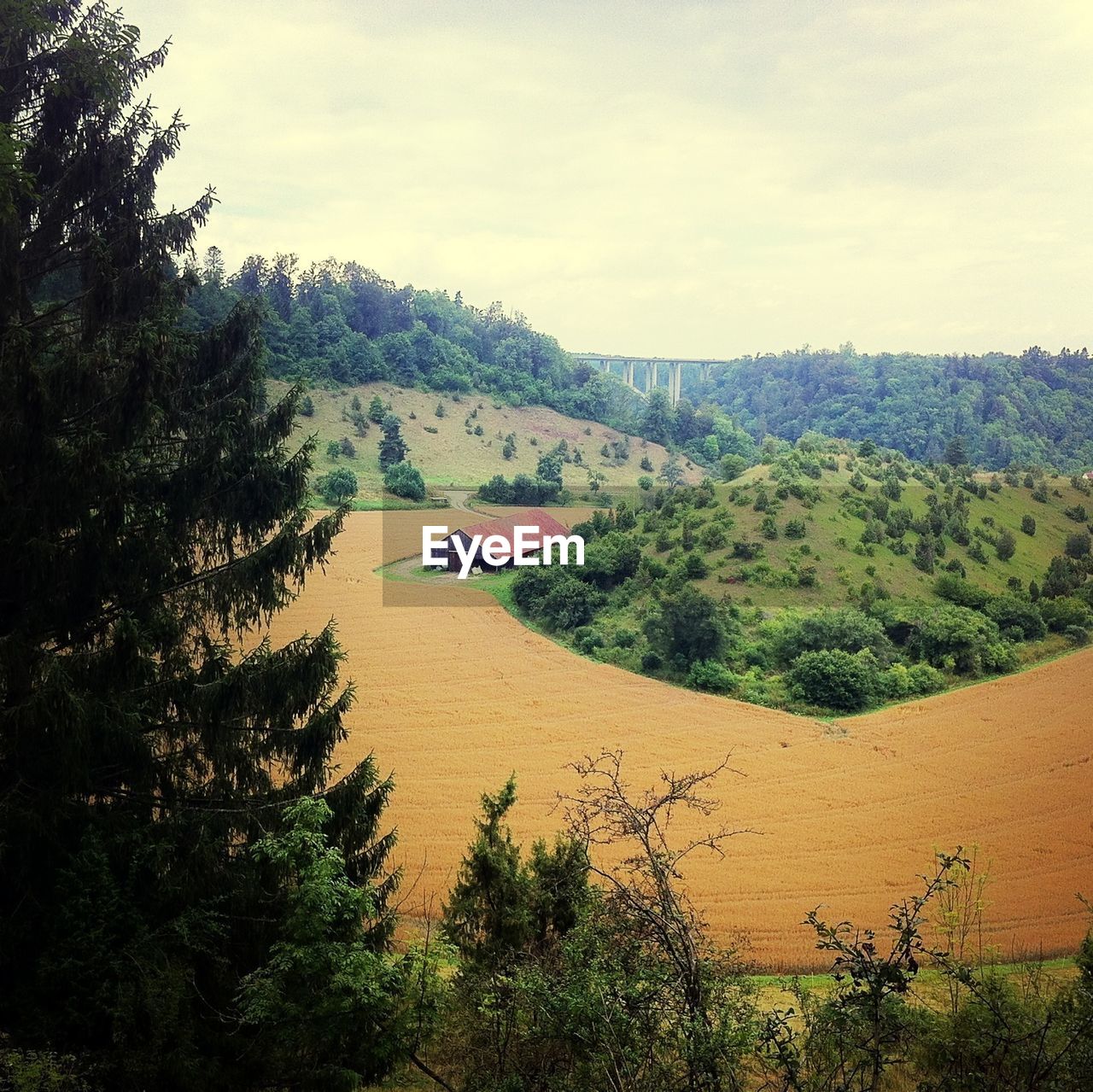 Tranquil scene of agricultural landscape