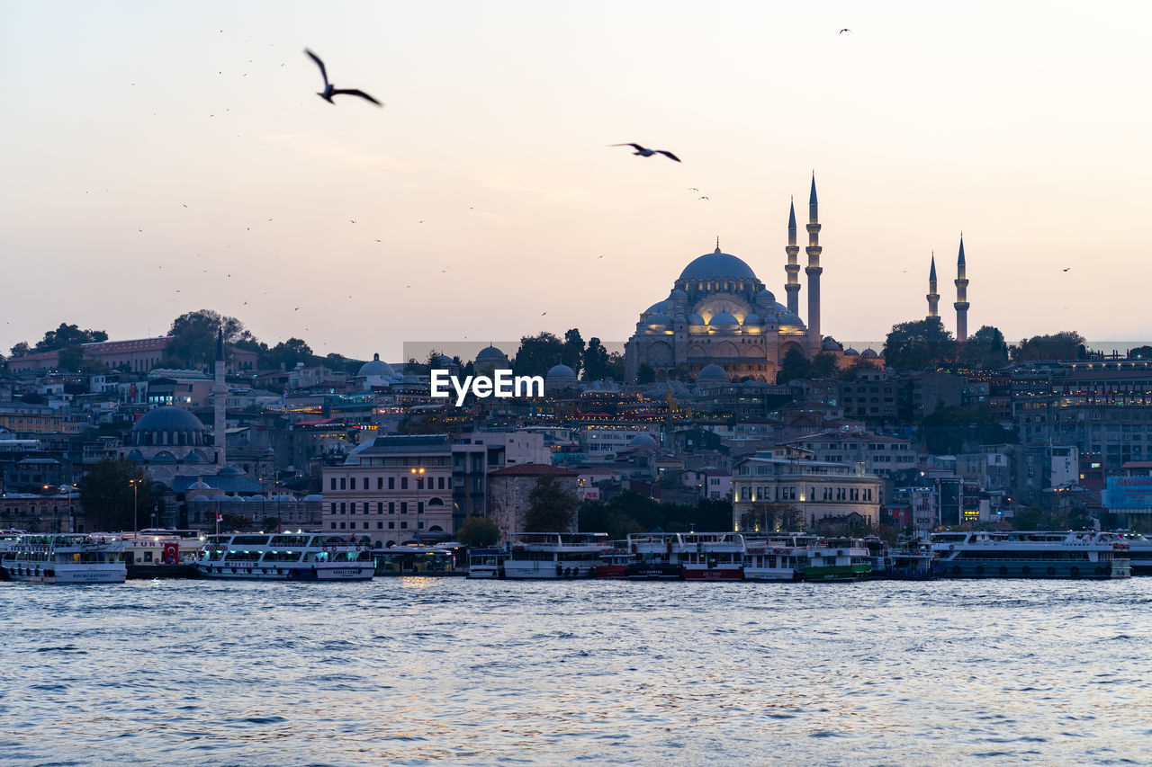 Birds flying over istanbul's mosque during sunset in october