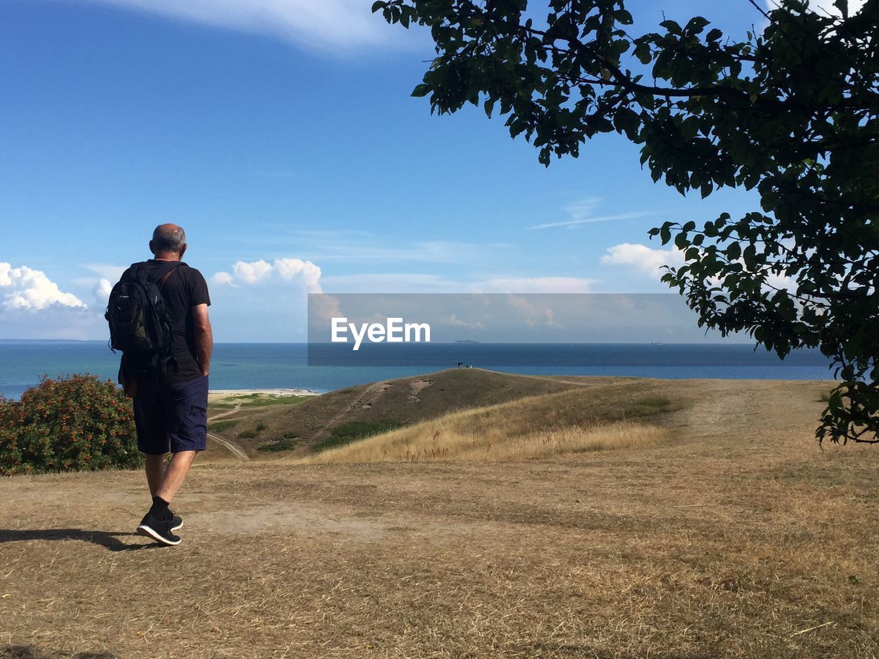 Rear view of man walking on shore against sky.