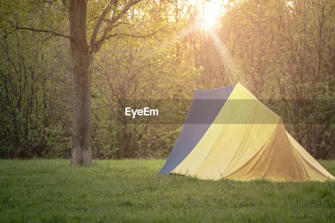 Tent on field against trees in forest