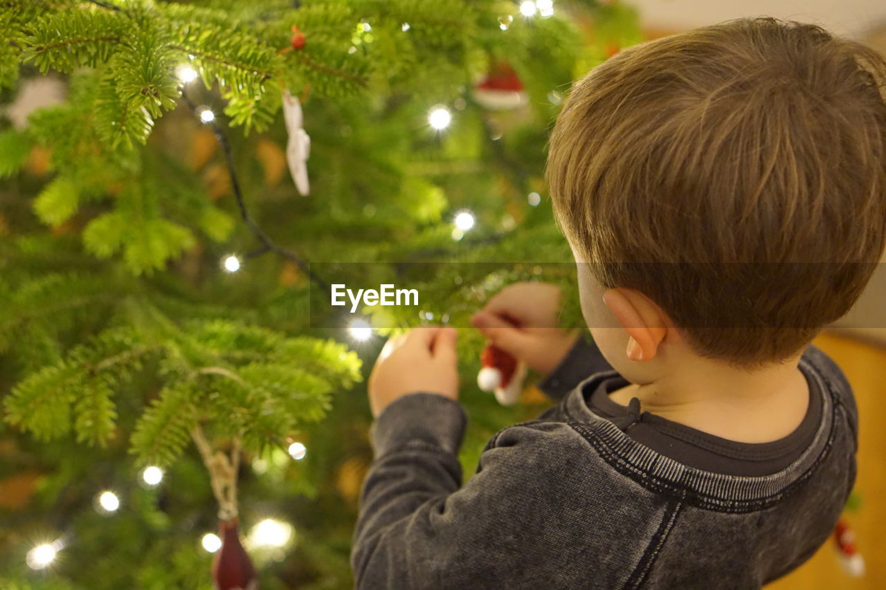 Rear view of a boy in front of a christmas tree