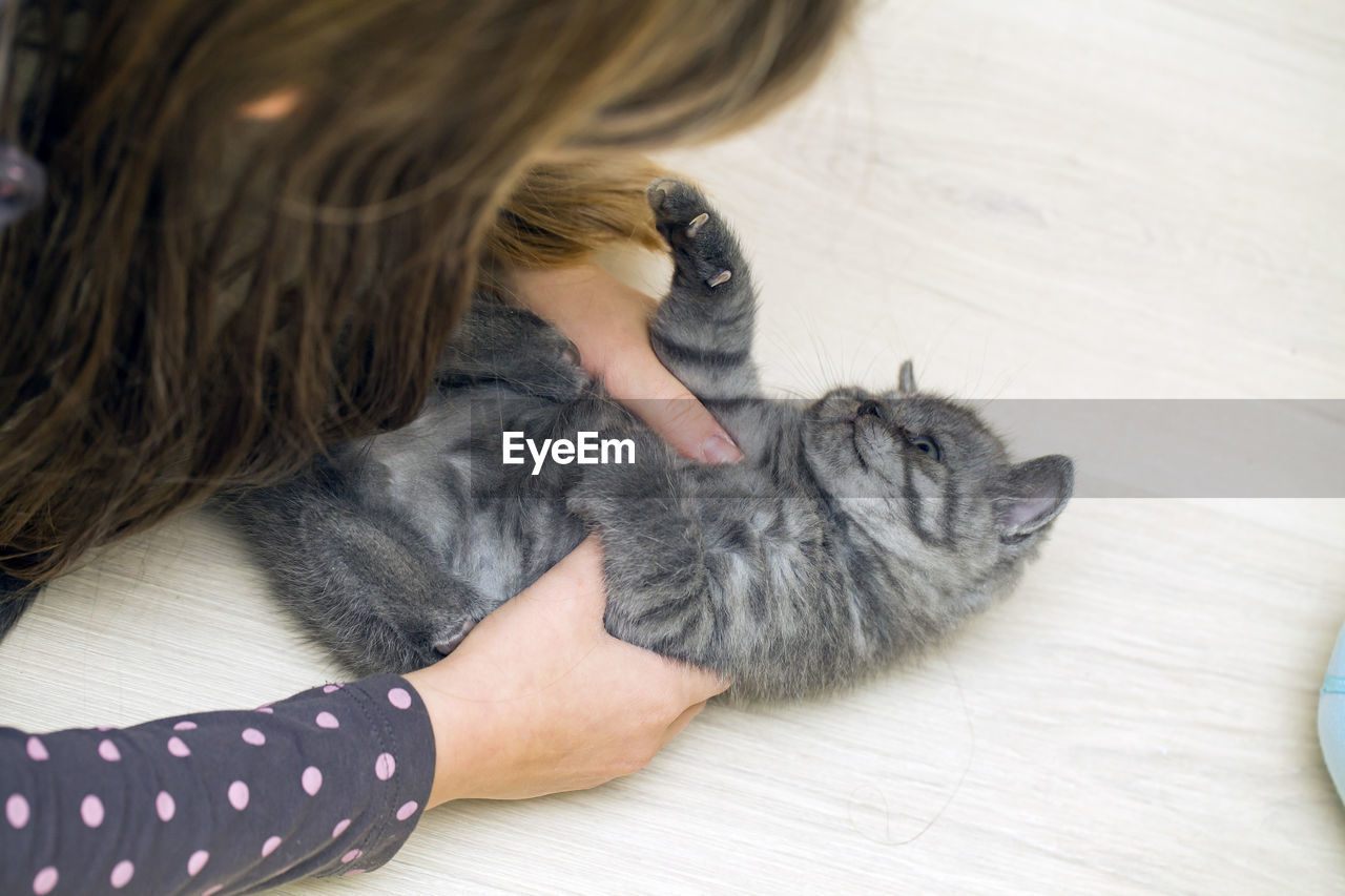 High angle view of woman sitting on hardwood floor cat playing 