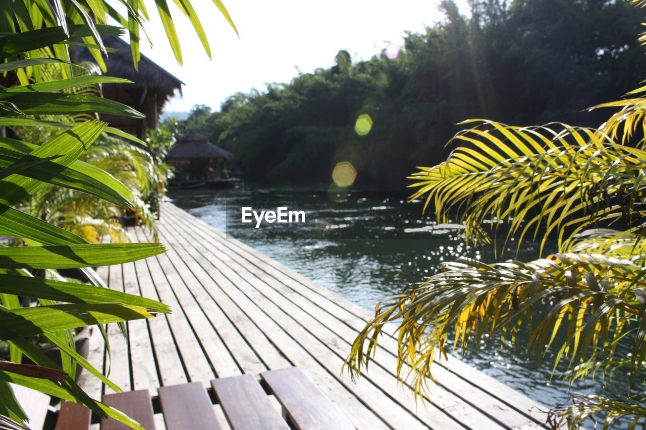 Scenic view of lake by trees during sunny day