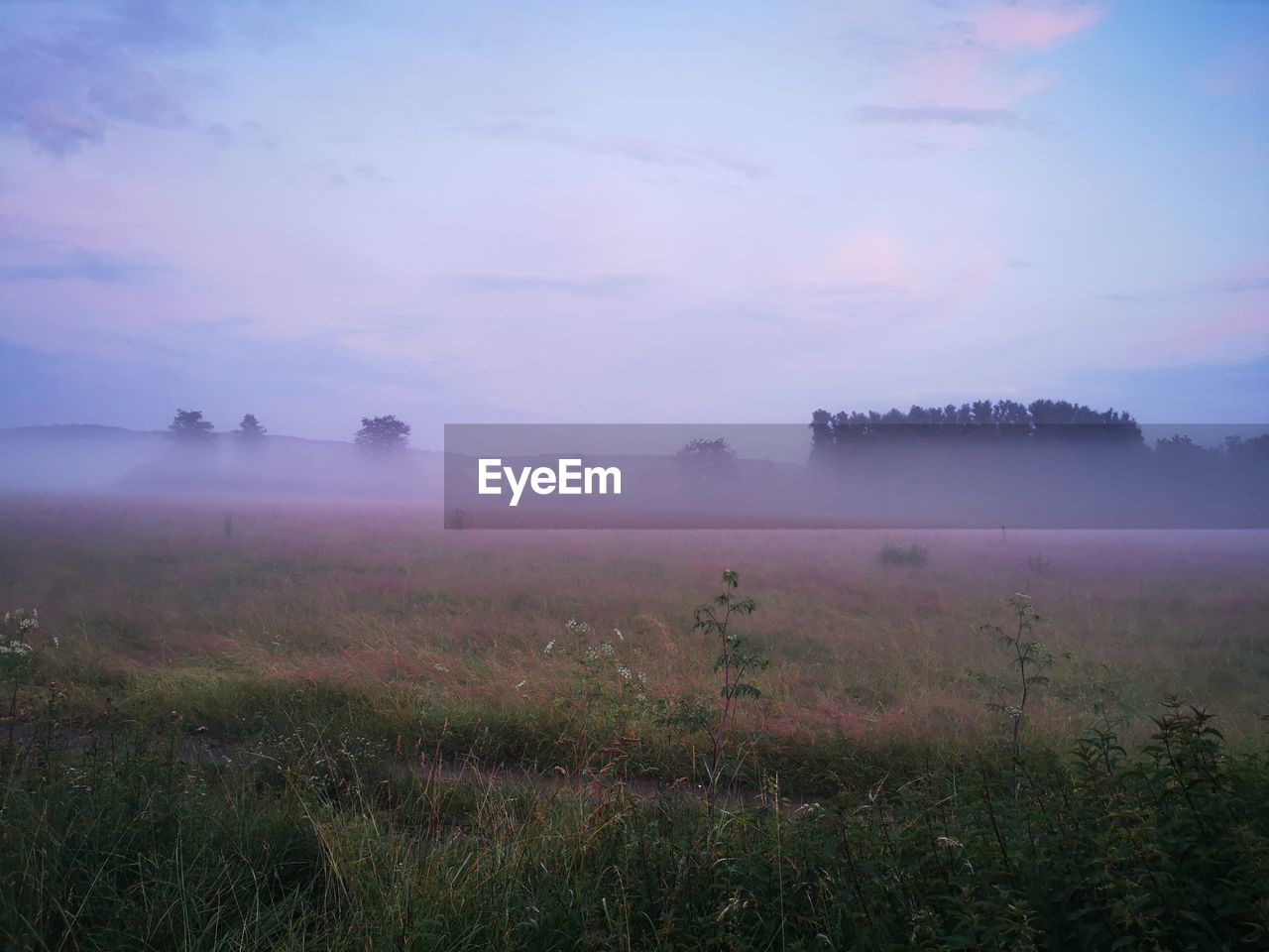 FIELD AGAINST SKY DURING FOGGY WEATHER