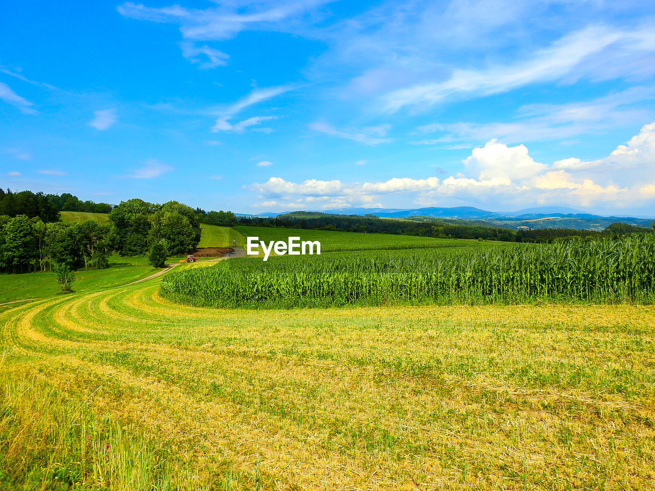 Scenic view of agricultural field against sky