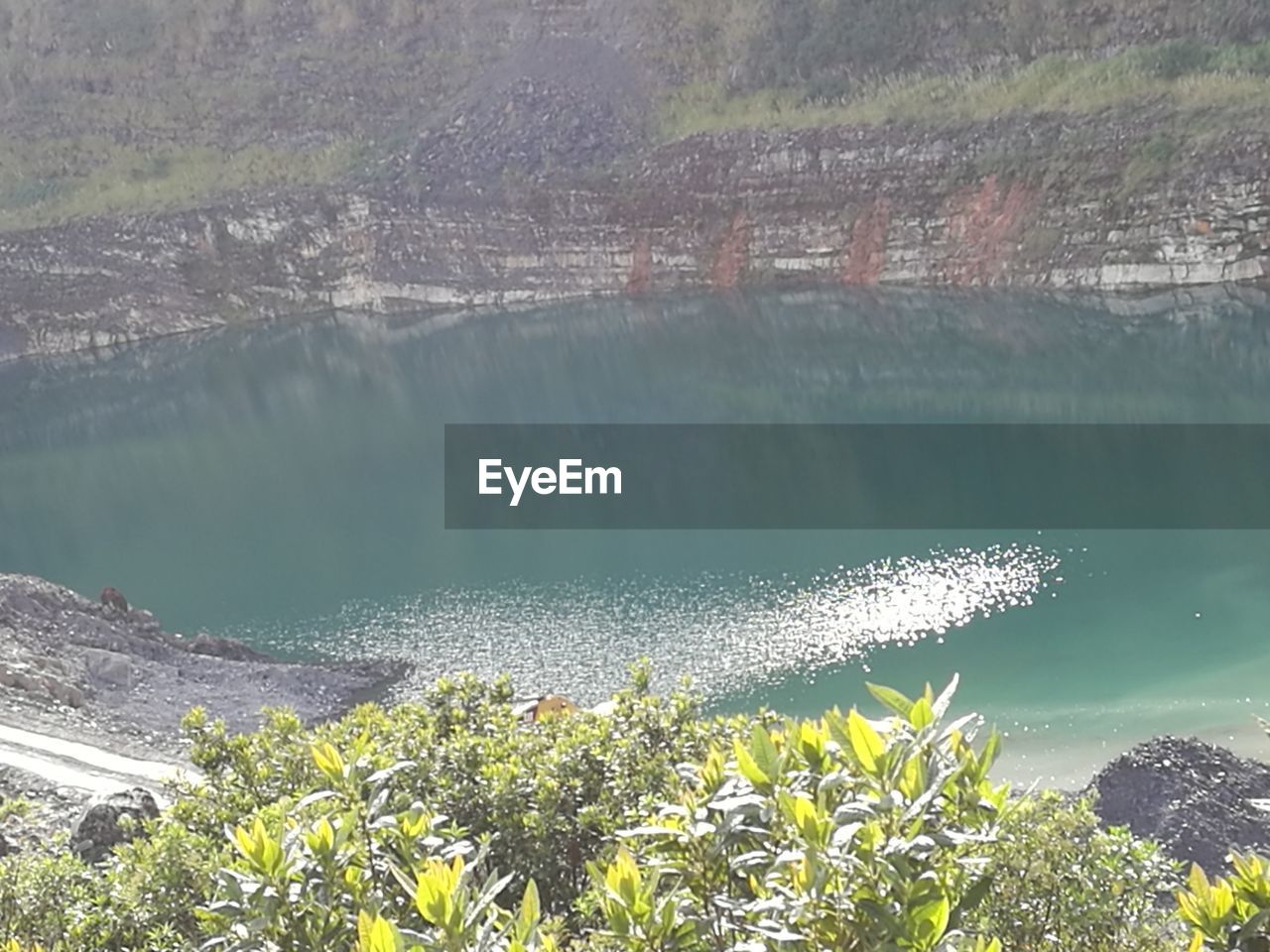 PLANTS GROWING BY CALM LAKE