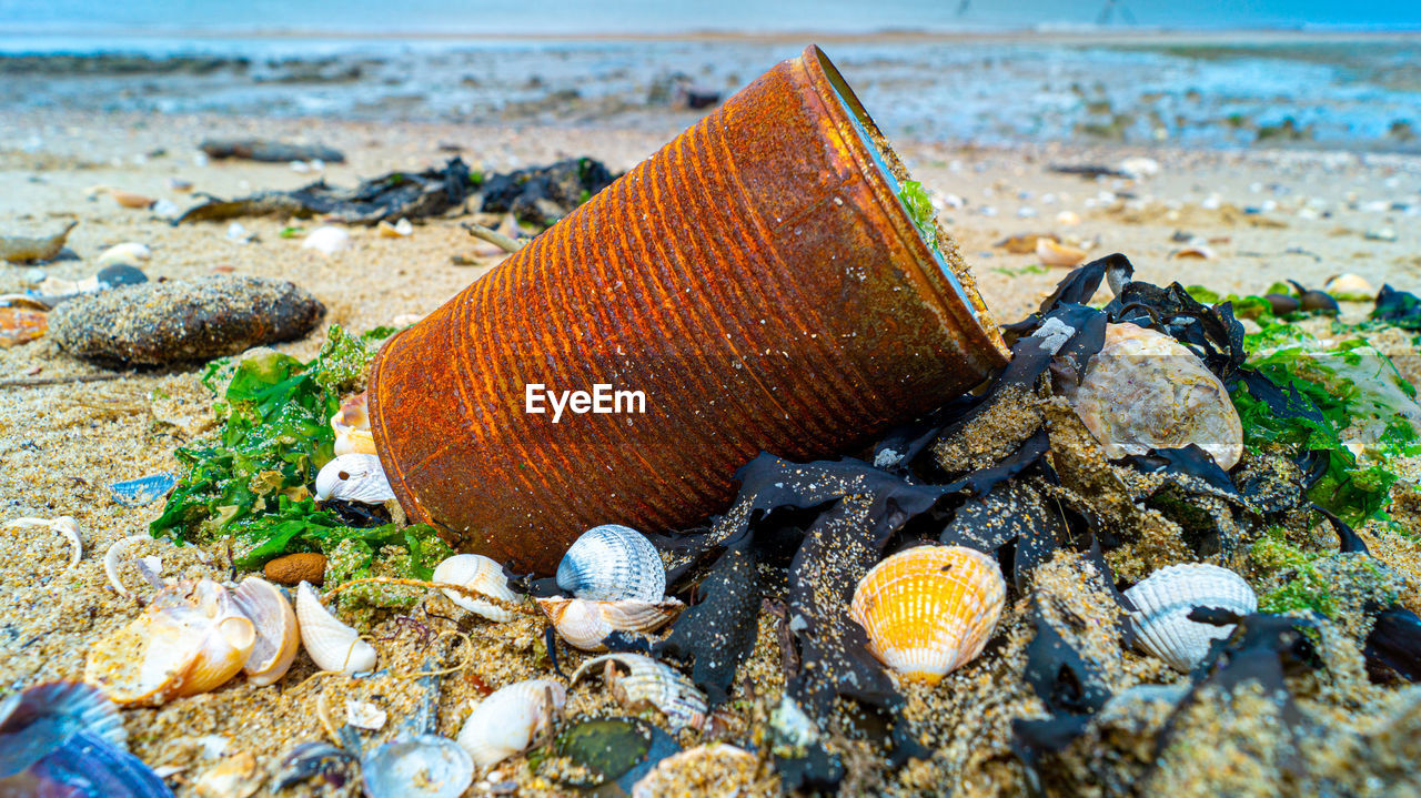 Close up of rusted can weathered on beach sand pollution litter rubbish in the ocean