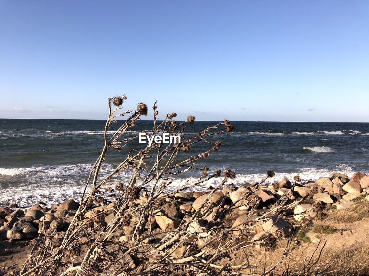 SCENIC VIEW OF SHORE AGAINST CLEAR SKY