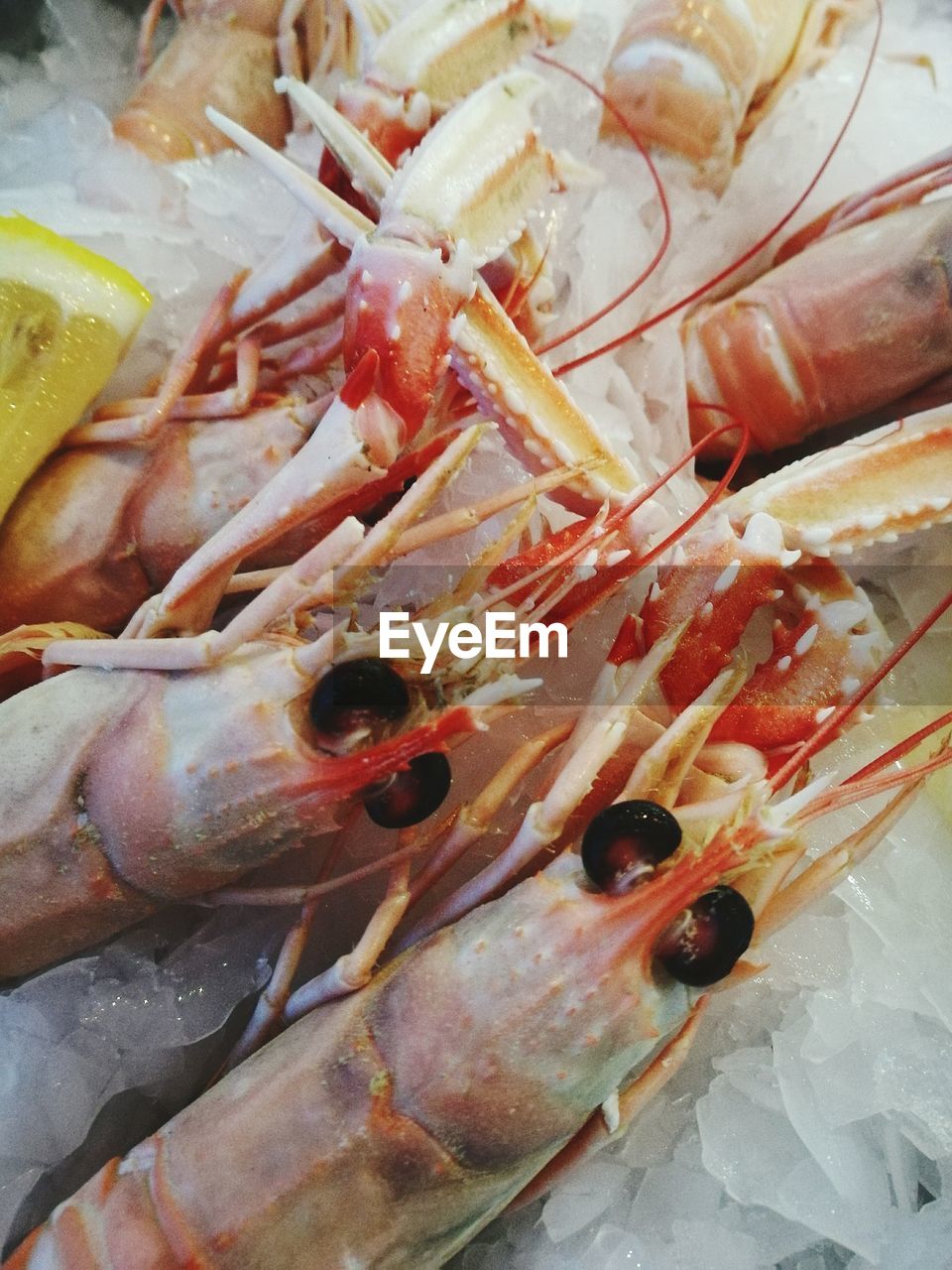 Close-up of raw prawns on ice in store