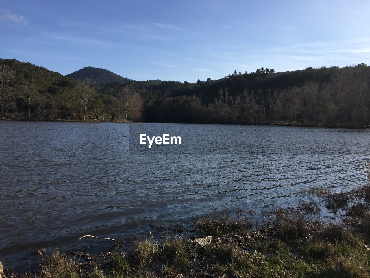 LAKE BY TREES AGAINST SKY