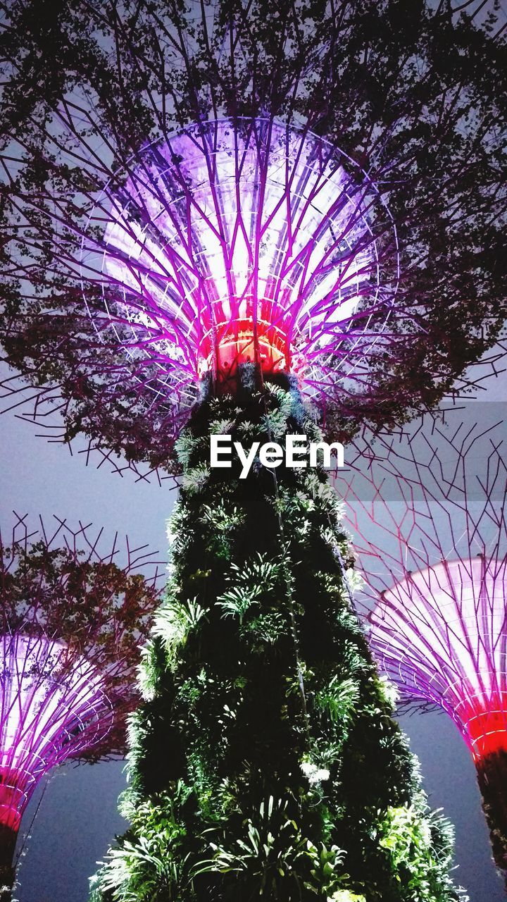 CLOSE-UP OF FRESH TREE AGAINST SKY