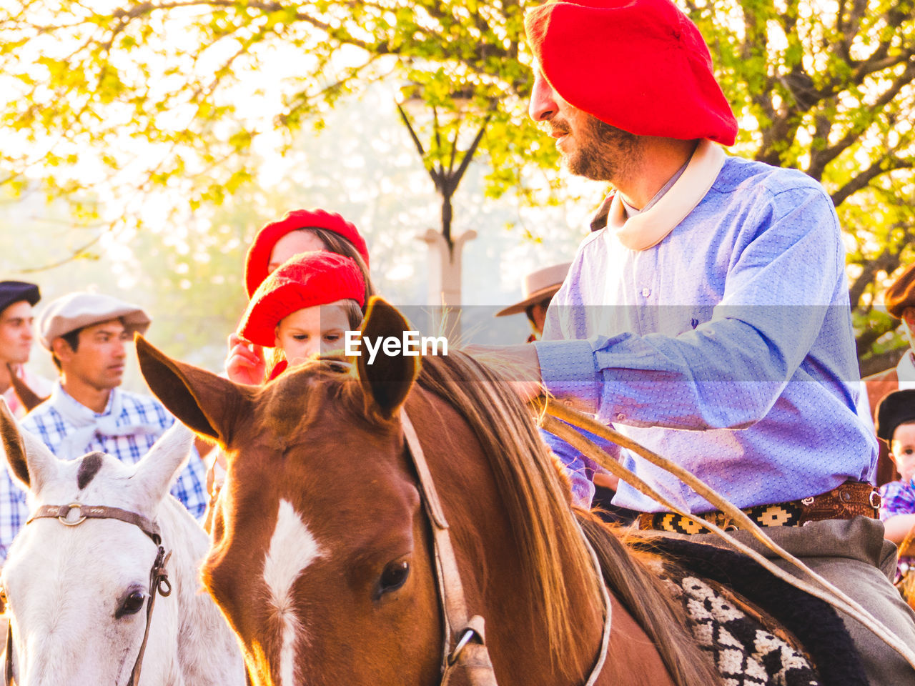 Man riding horse against trees