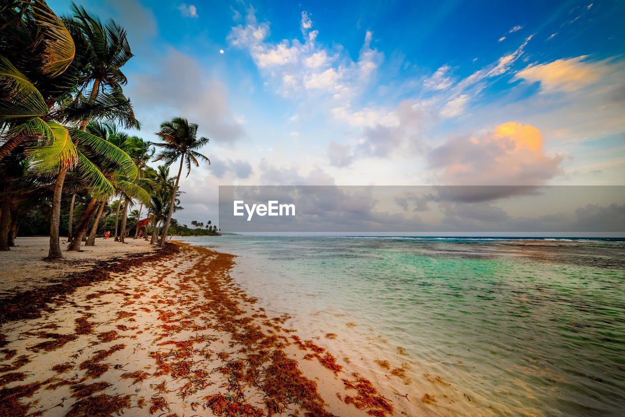 SCENIC VIEW OF SEA AGAINST SKY AT BEACH