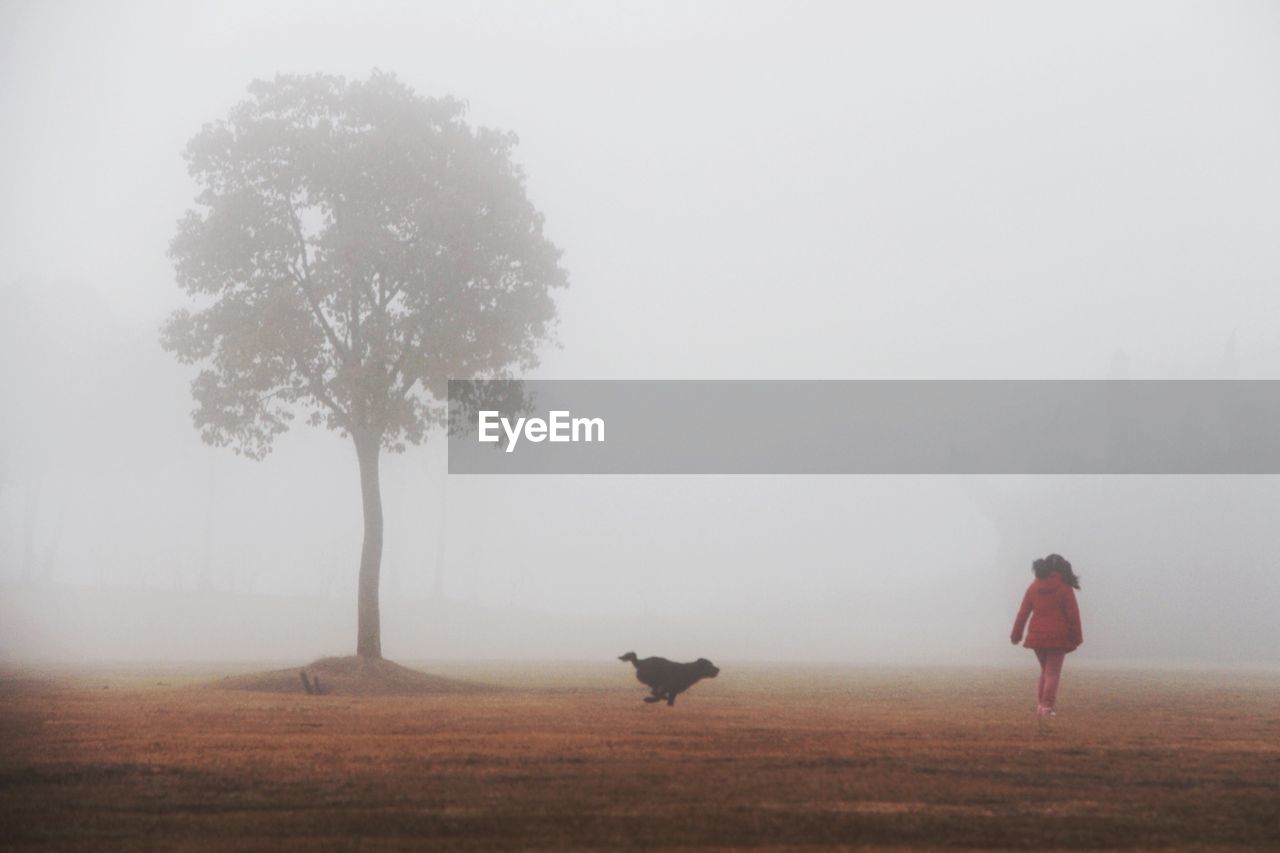 Girl playing with dog in foggy morning