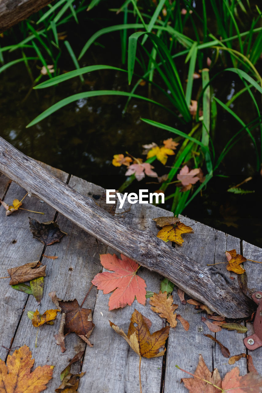 High angle view of dry leaves fallen on pier by lake during autumn