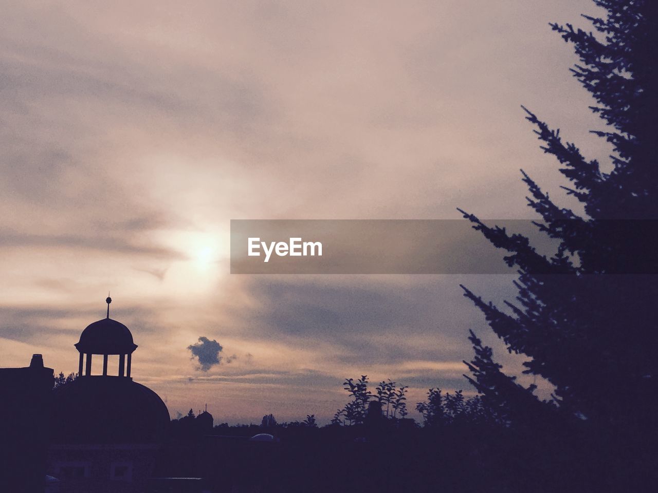 SILHOUETTE OF TREES AGAINST CLOUDY SKY