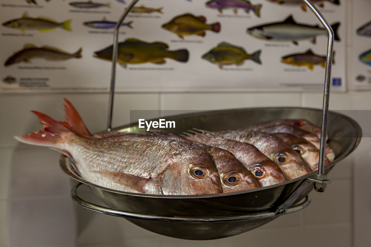 Close-up of fish on table