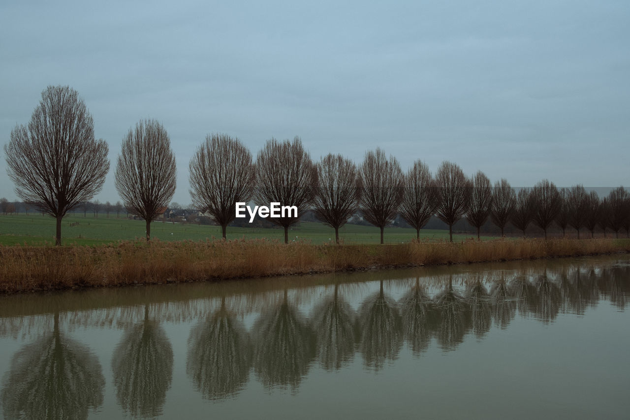 reflection, water, tree, sky, plant, tranquility, nature, lake, beauty in nature, tranquil scene, scenics - nature, morning, no people, marsh, reservoir, wetland, non-urban scene, landscape, environment, waterfront, waterway, cloud, outdoors, growth, day, idyllic, bare tree