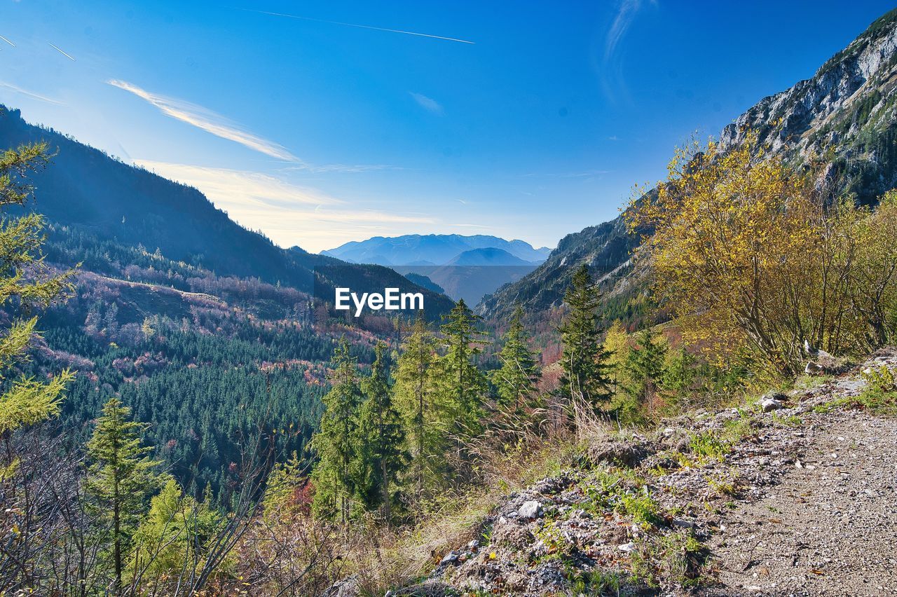 PLANTS GROWING ON LAND AGAINST MOUNTAINS