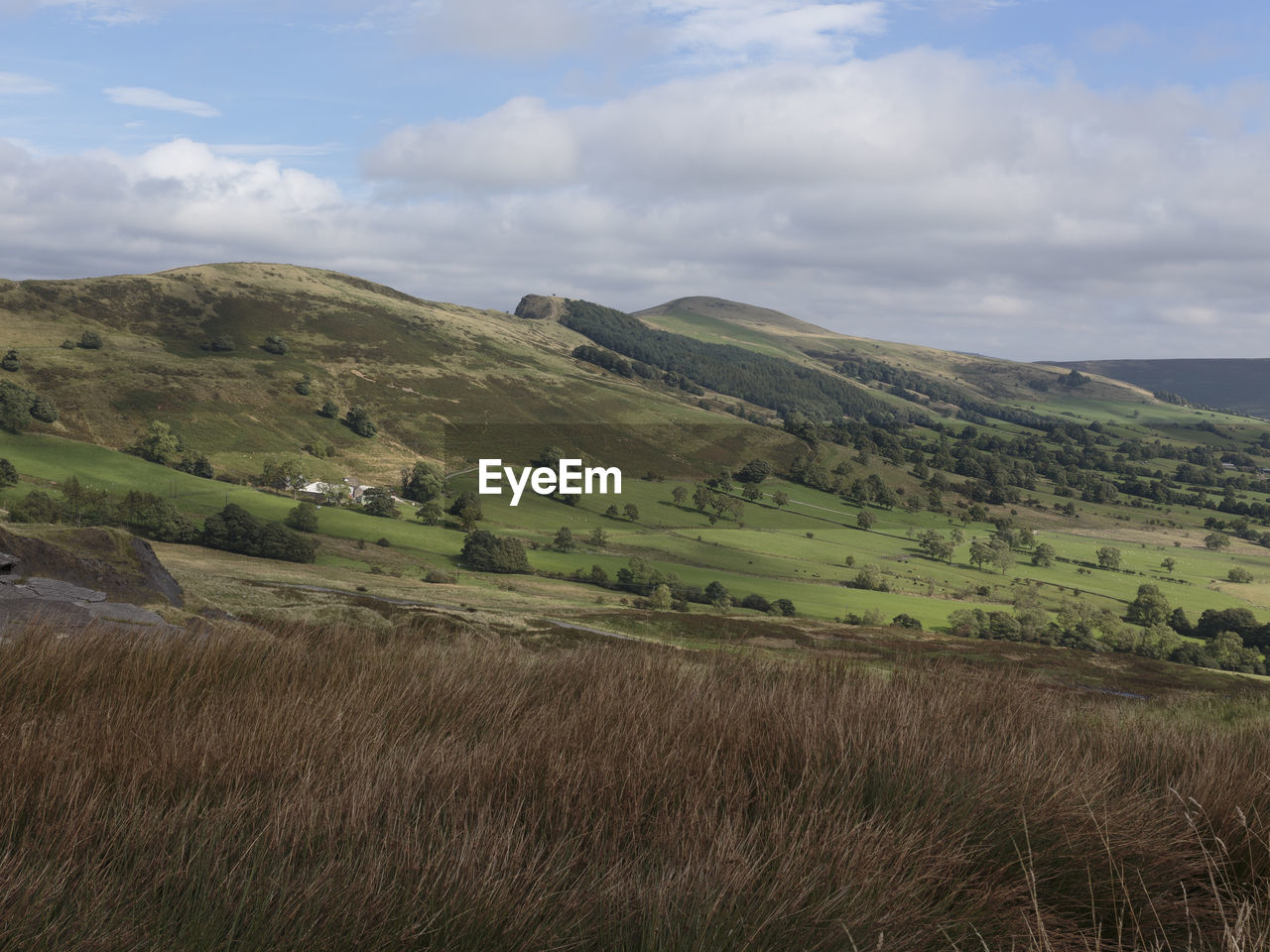 SCENIC VIEW OF AGRICULTURAL LANDSCAPE AGAINST SKY