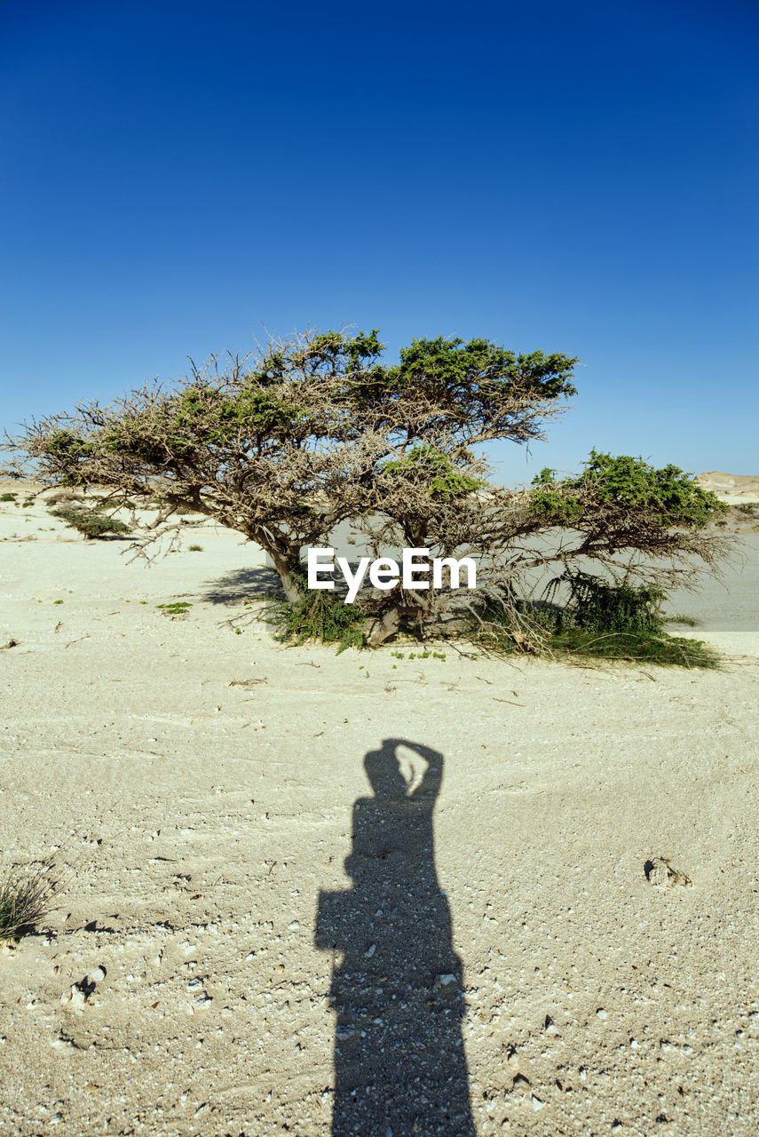 Shadow of man standing on ground