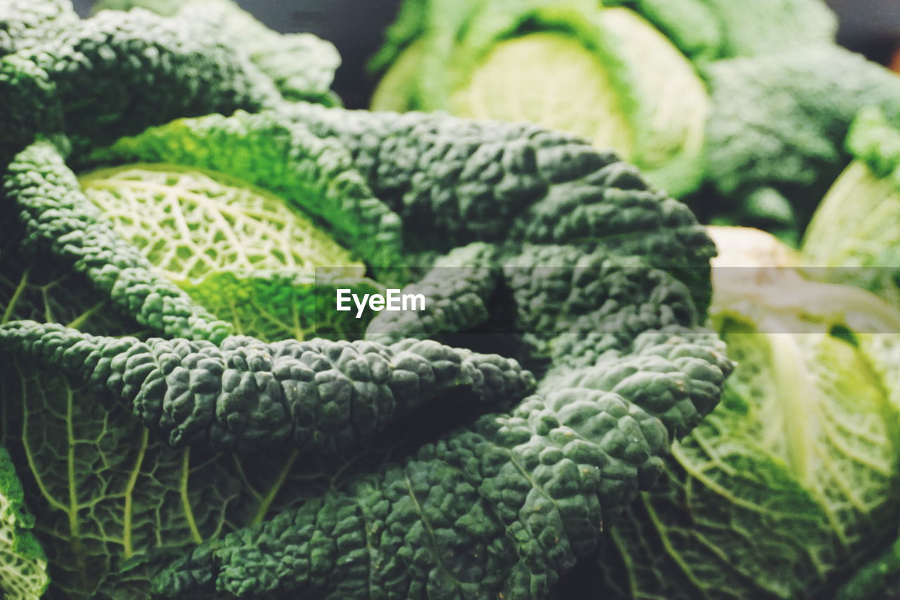 Close-up of savoy cabbage