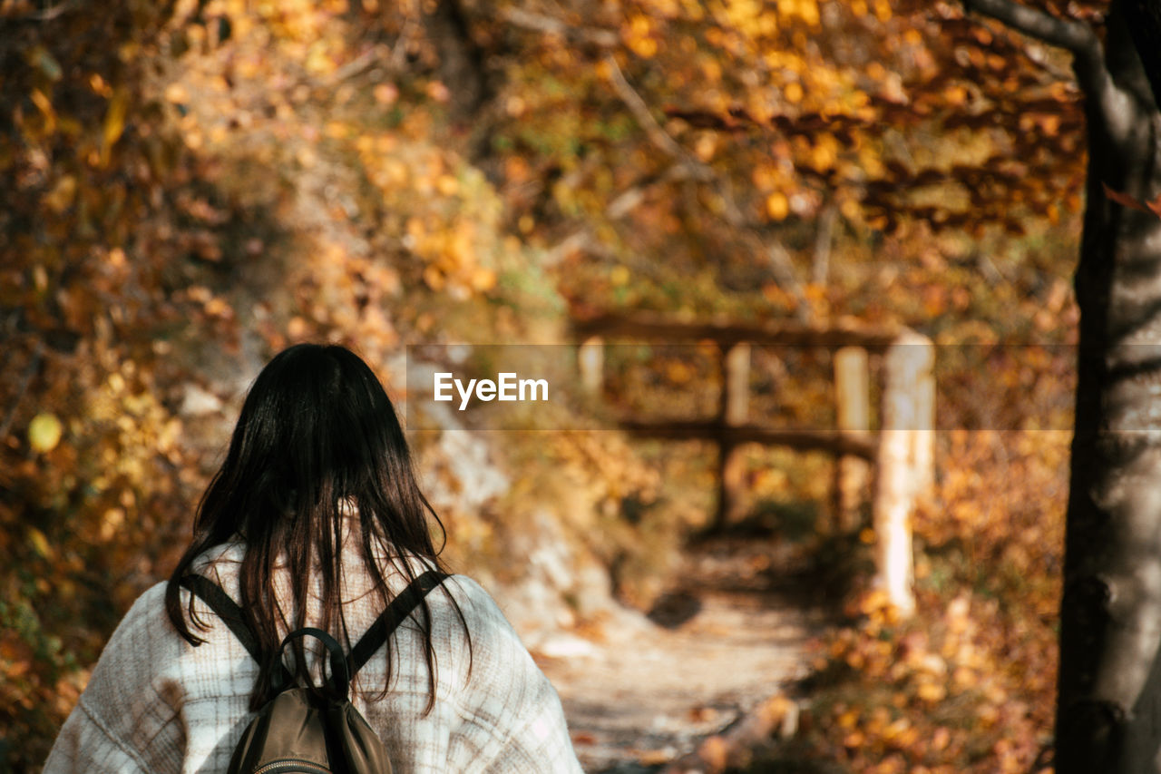 Rear view of woman walking on wooden path in forest in autumn.
