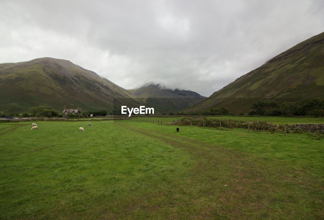 Scenic view of green landscape and mountains against sky