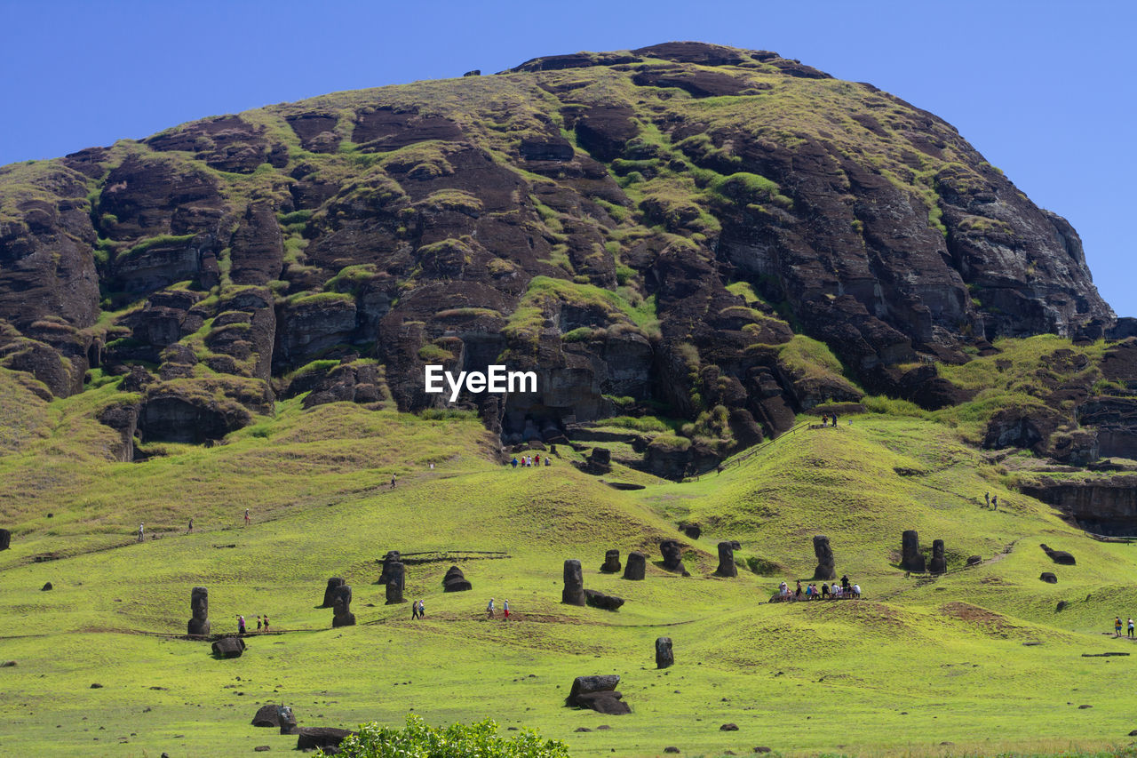 scenic view of field against clear sky