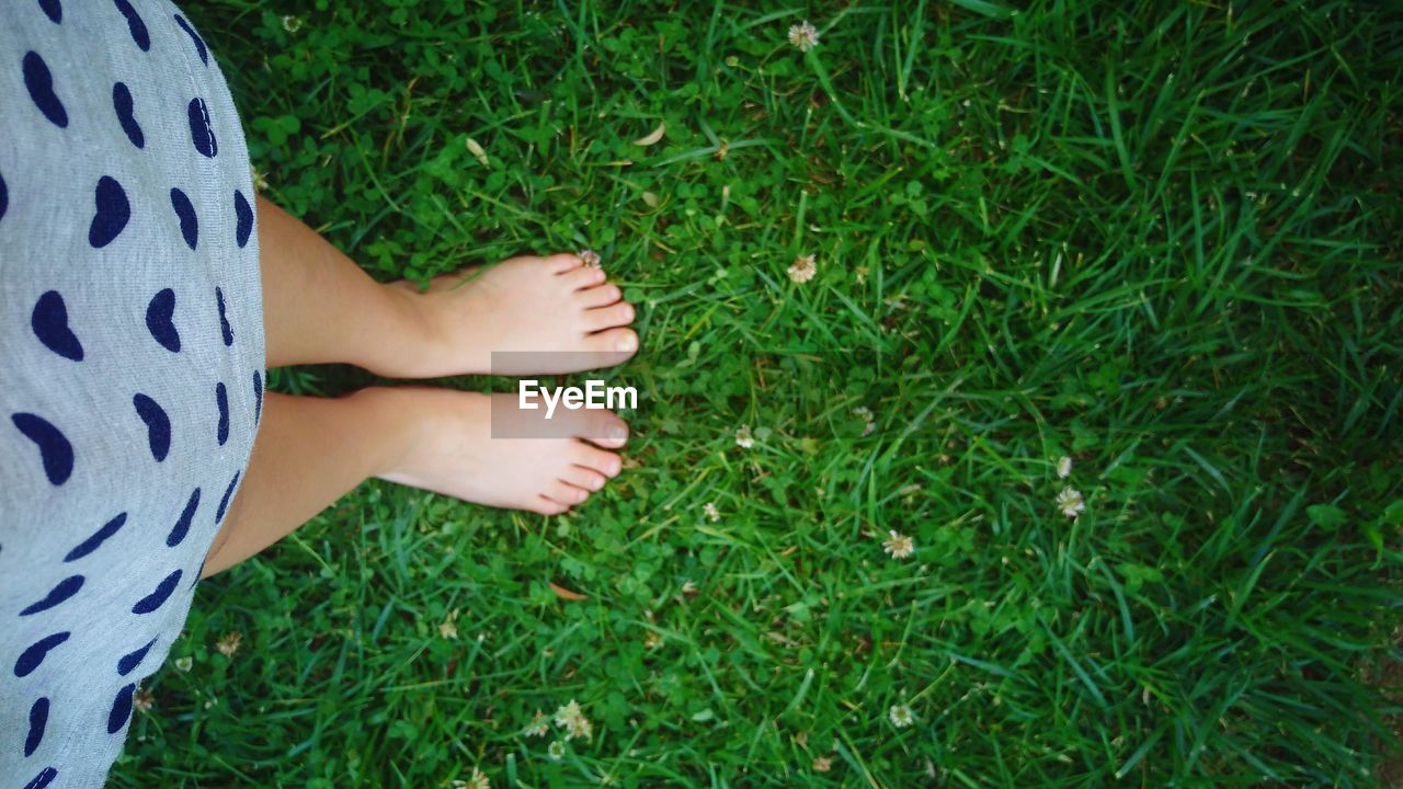 Low section of woman standing on grass