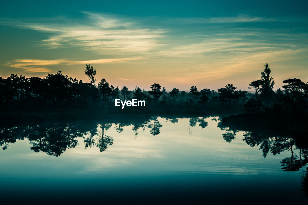 A beautiful, colorful morning landscape of a sunrise over the swamp