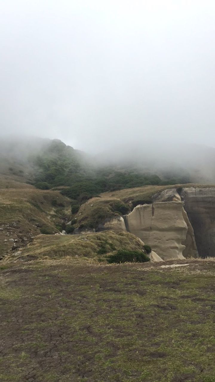Cliff at tunnel beach during foggy weather