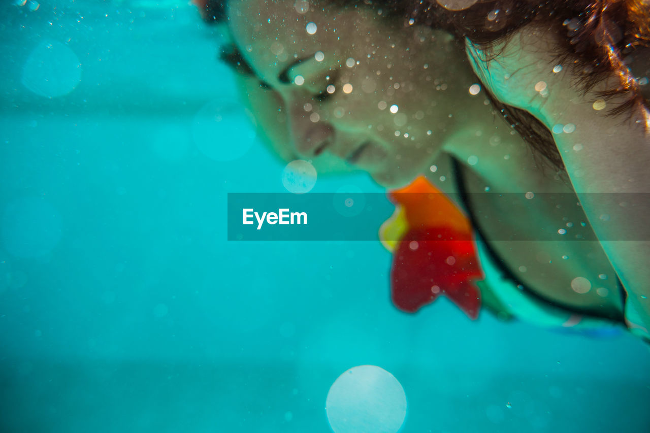 CLOSE-UP OF JELLYFISH SWIMMING IN POOL