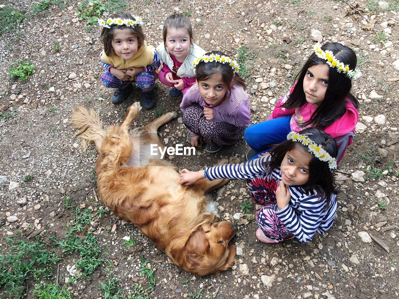 High angle portrait of girls crouching by golden retriever lying ground