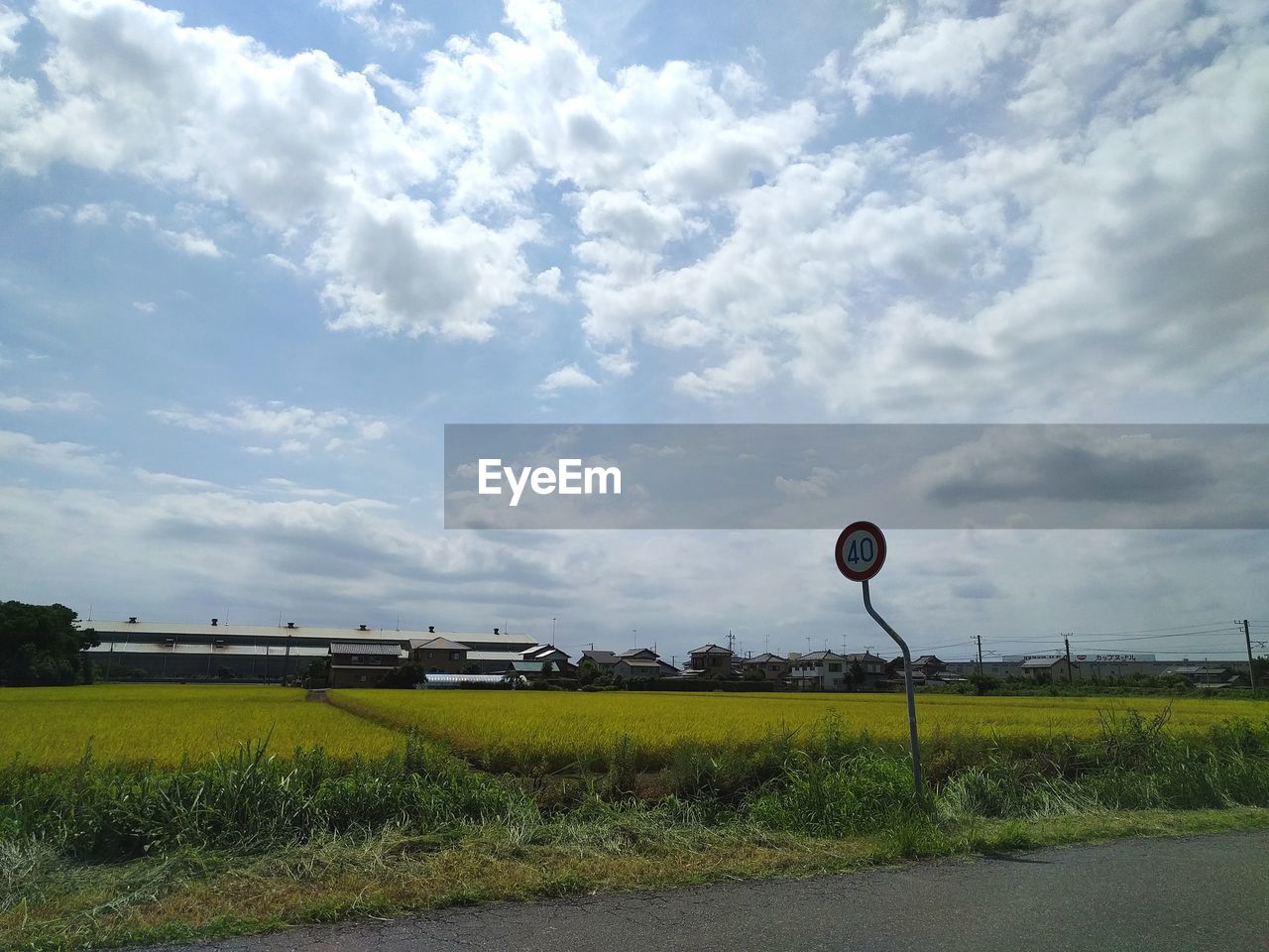 Road by field against sky