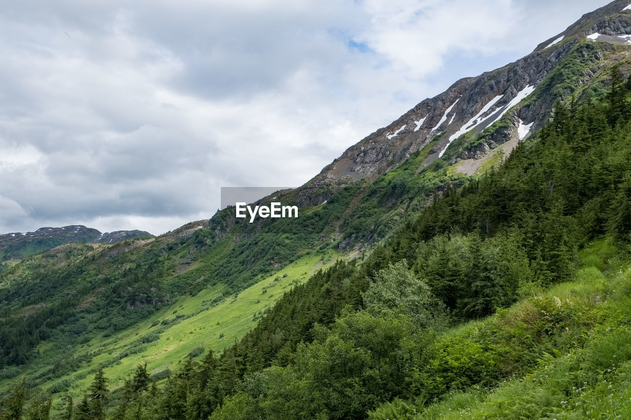 SCENIC VIEW OF MOUNTAIN AGAINST SKY