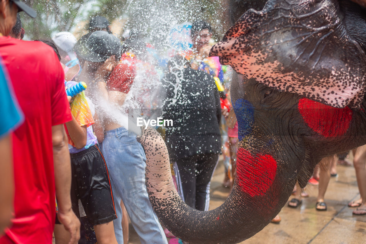 rear view of man standing by elephant