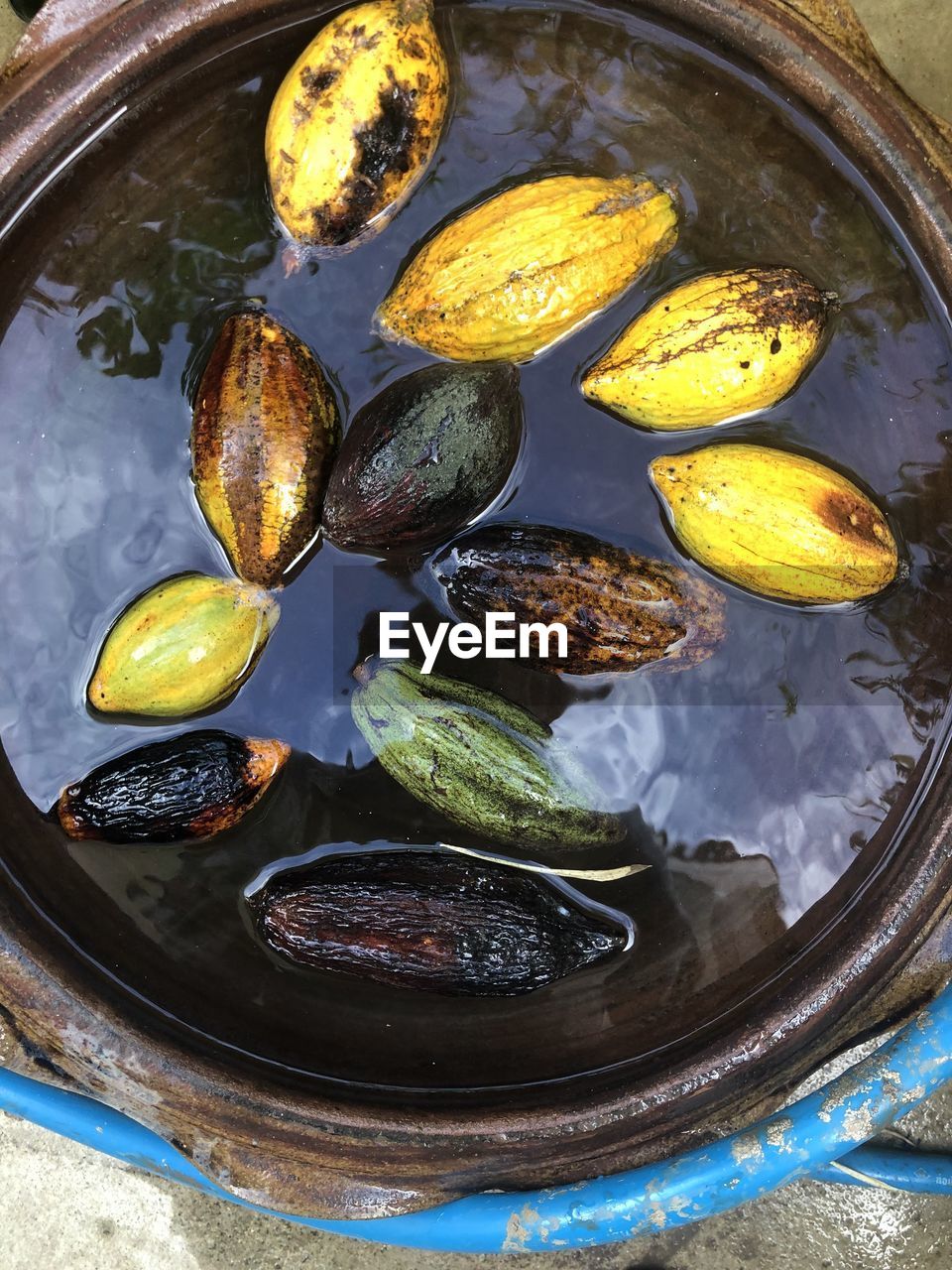 HIGH ANGLE VIEW OF FRUITS IN CONTAINER