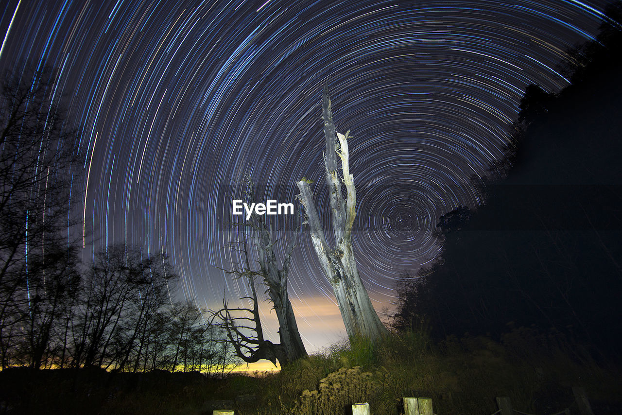 Trees against star trail in sky
