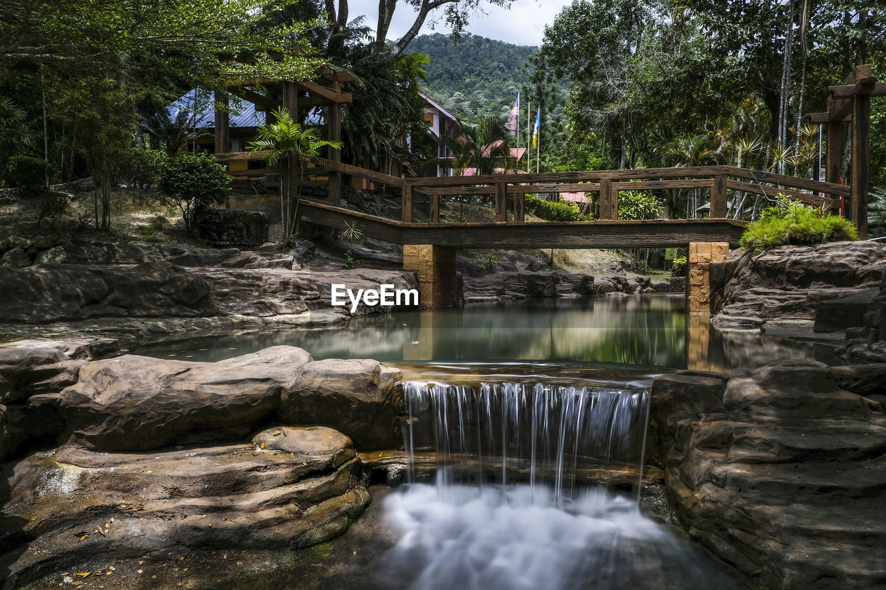 Bridge over river in forest