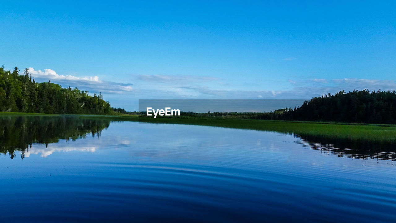 Reflection of trees in calm lake