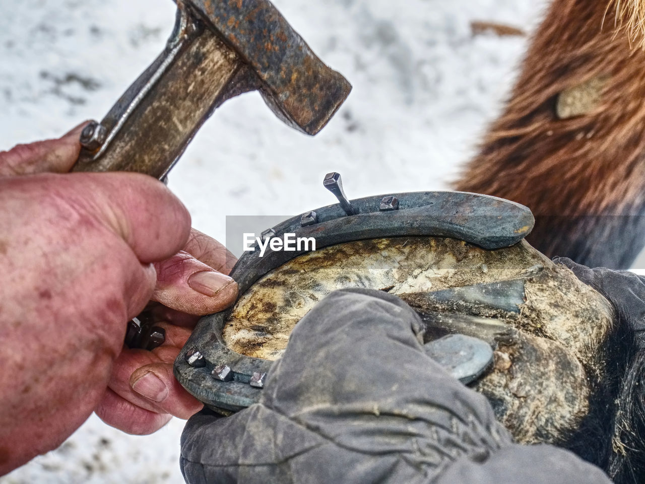 Farrier holding horse hoof and nailing new horse shoe. farm life care and routine.