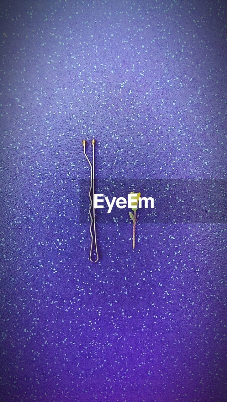 Hair pin and miniature flower