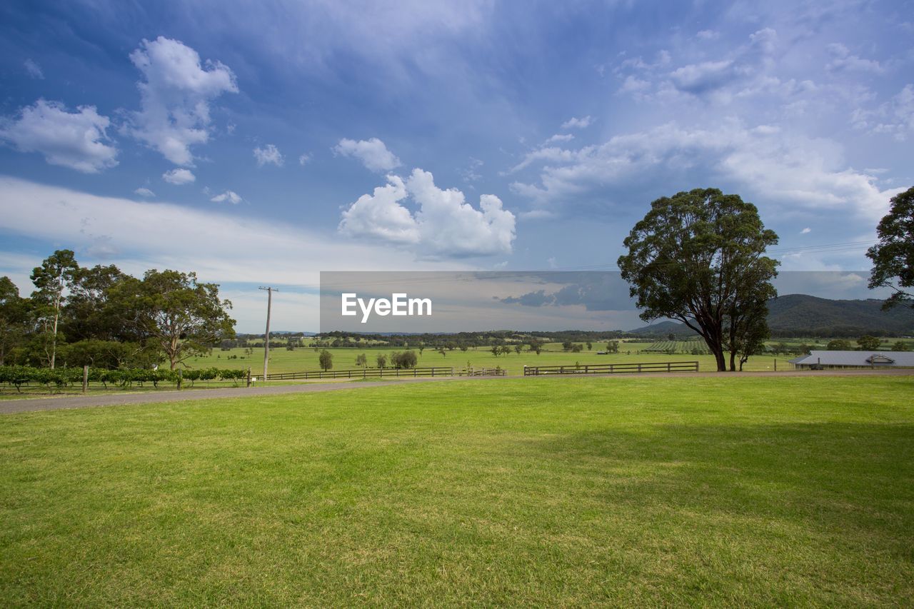 Scenic view of grassy field against cloudy sky