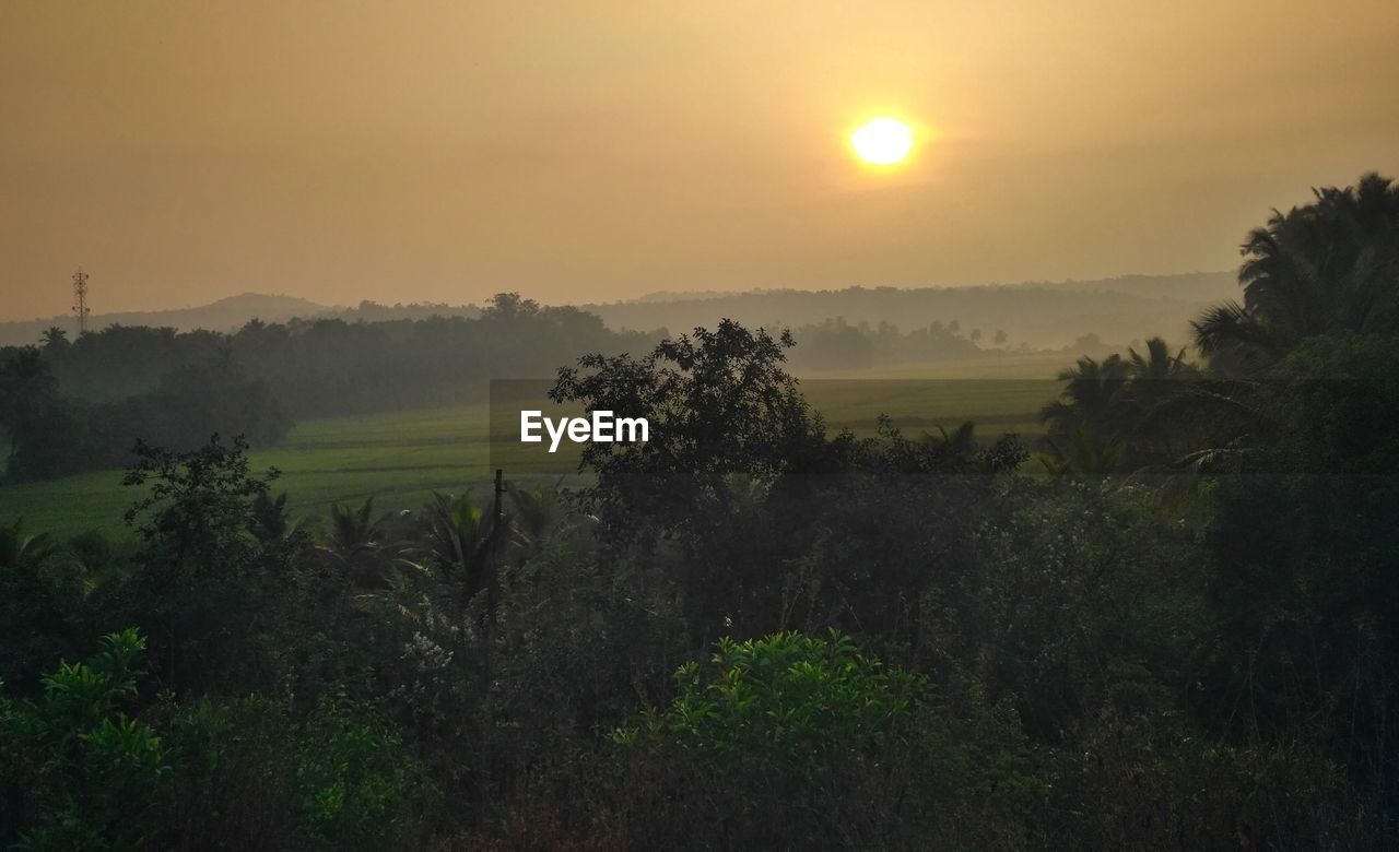 Scenic view of field against sky during sunset