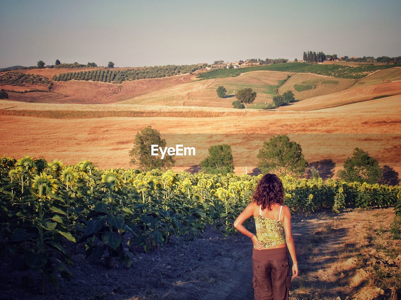 Rear view of woman standing on field against sky