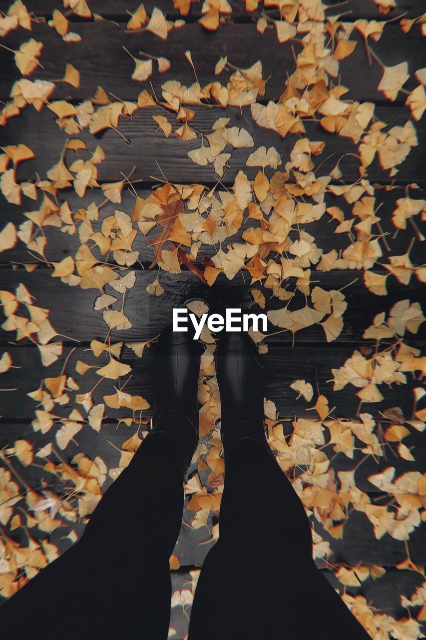 Low section of woman standing on autumn leaves