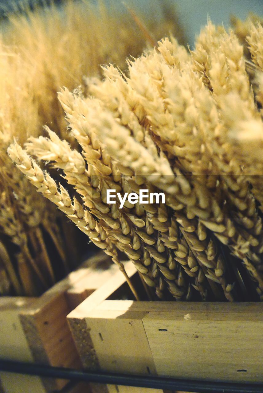 CLOSE-UP OF ROPE ON TABLE